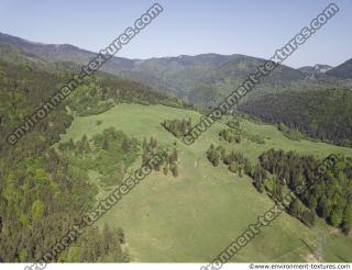 background nature forest High Tatras 0020